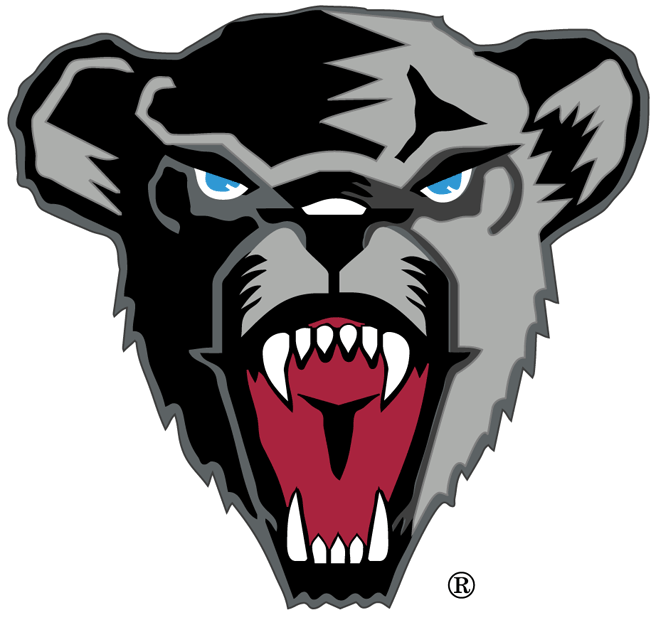Maine Black Bears 1999-Pres Secondary Logo diy fabric transfer